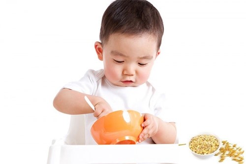 Hệ tiêu hóa khỏe mạnh giúp trẻ ăn ngon và hấp thụ tốt hơn