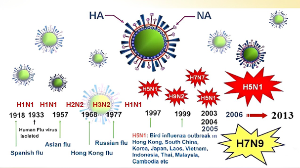 Các chủng virus cúm A