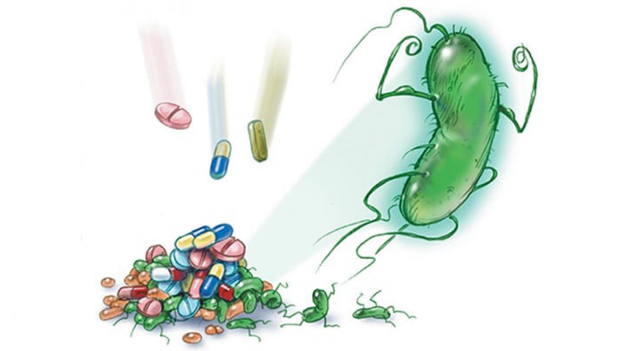 vi khuẩn Hp kháng thuốc