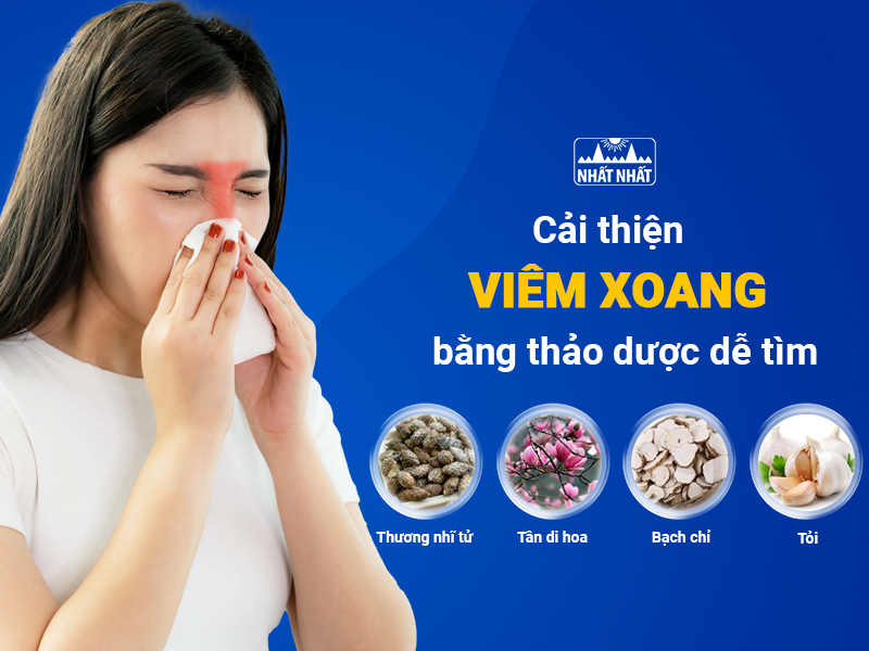Tìm hiểu một số loại thảo dược cải thiện viêm xoang tại nhà