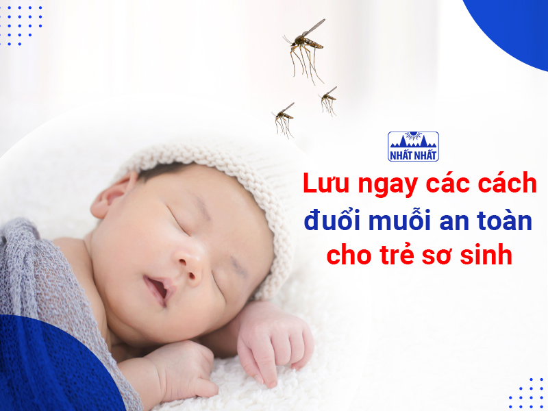 Tìm hiểu cách đuổi muỗi an toàn cho trẻ sơ sinh, không dùng hóa chất