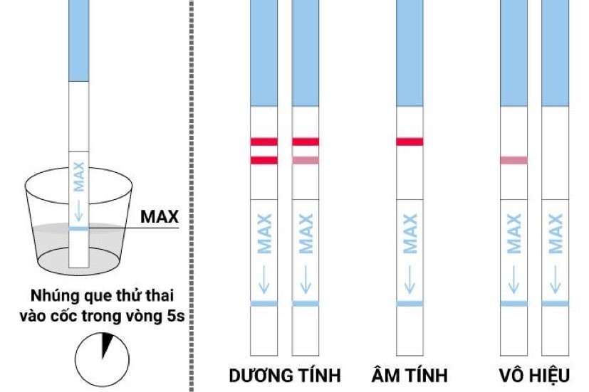 que thử thai 2 vạch