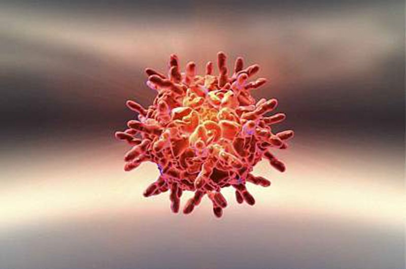 Rhinovirus là nguyên nhân chủ yếu gây cảm lạnh