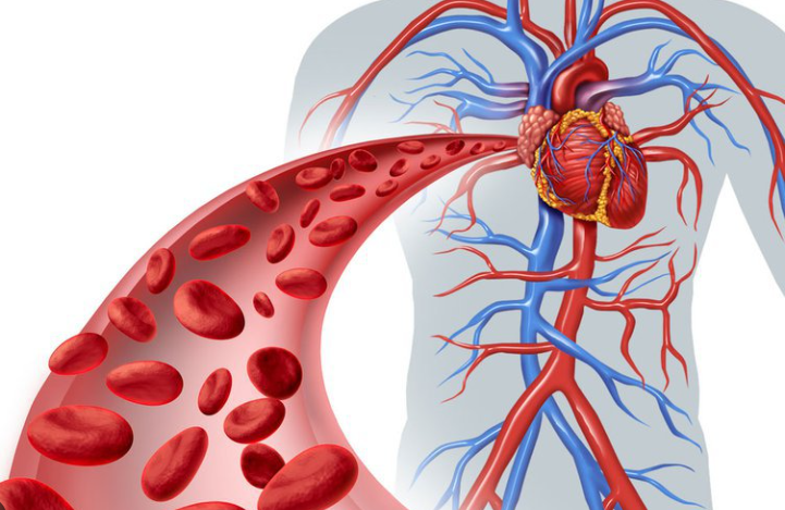 Tăng cường lưu thông máu đi khắp cơ thể để ngăn ngừa cục máu đông
