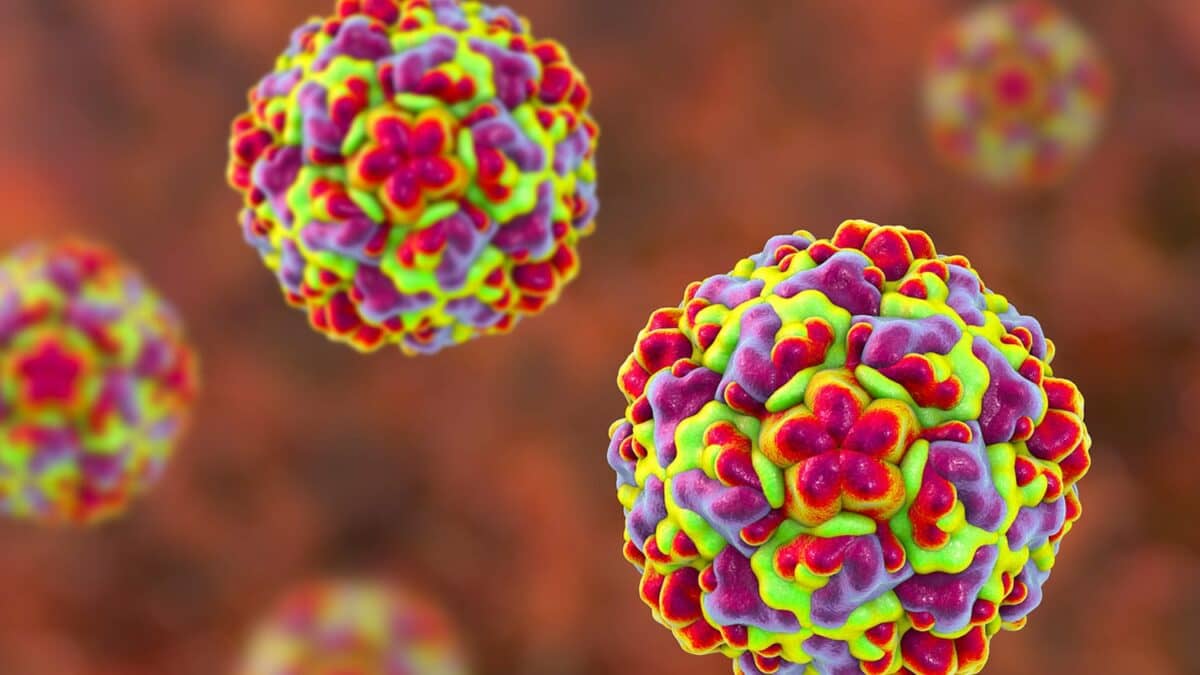 Theo Tây y, Rhinovirus là tác nhân chính gây cảm lạnh