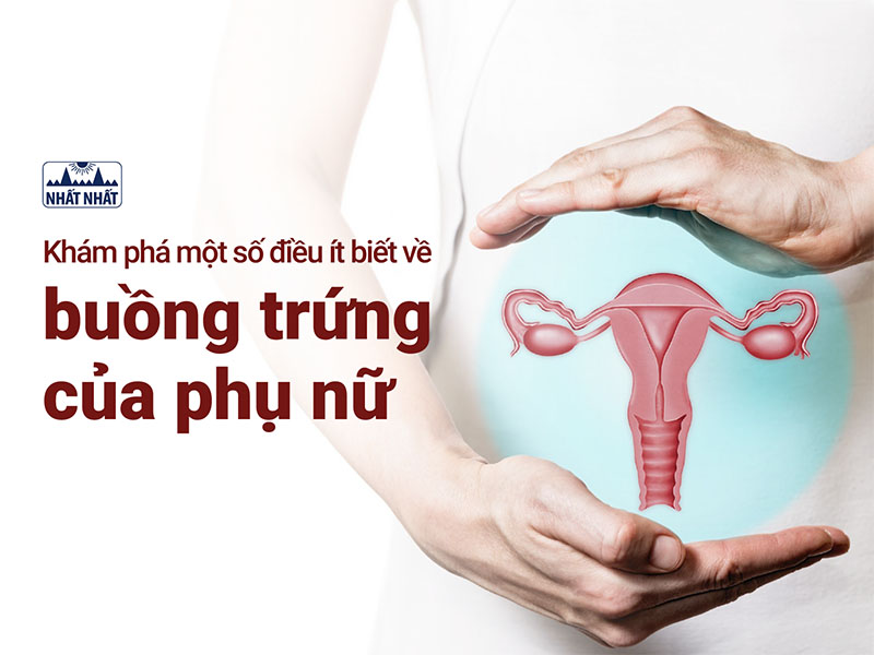 Buồng trứng của phụ nữ 