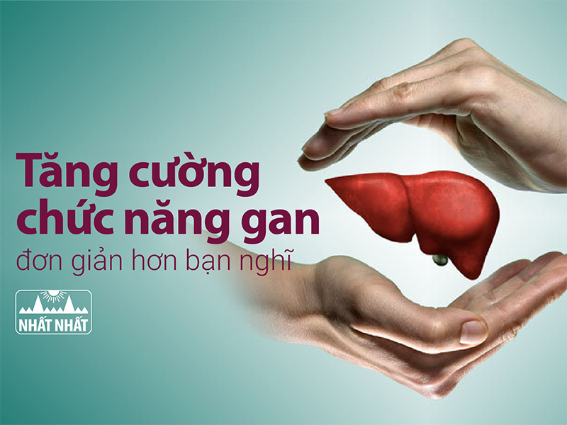 tăng cường chức năng gan