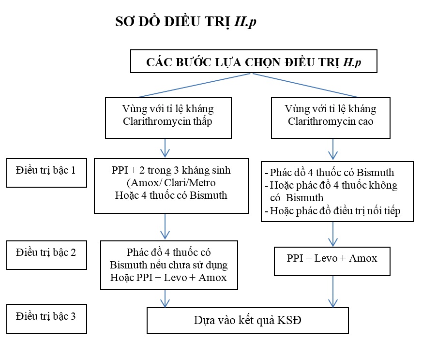 viêm dạ dày hp dương tính