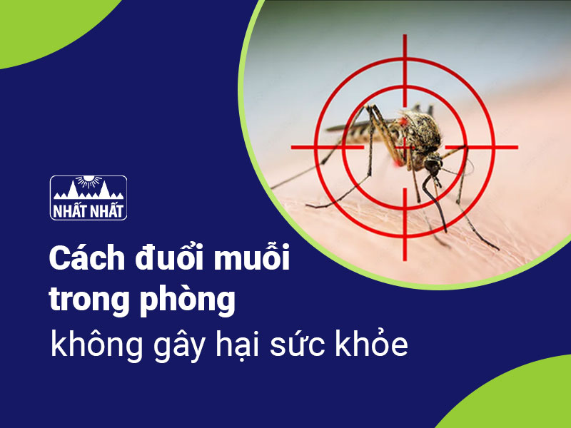 đuổi muỗi trong phòng