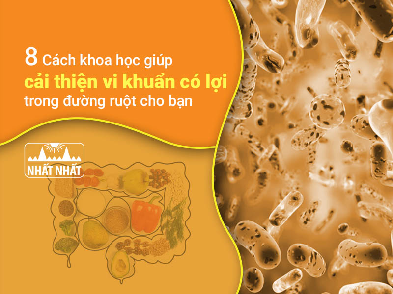 vi khuẩn có lợi