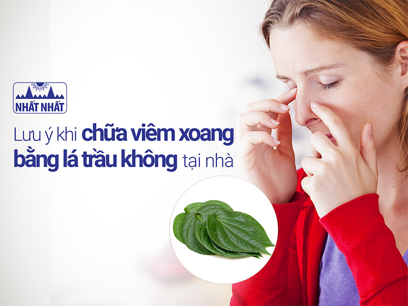chữa viêm xoang bằng lá trầu không