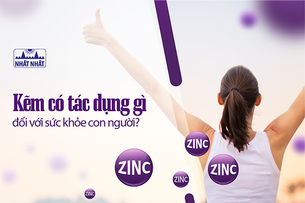Kẽm có tác dụng gì đối với sức khỏe con người?
