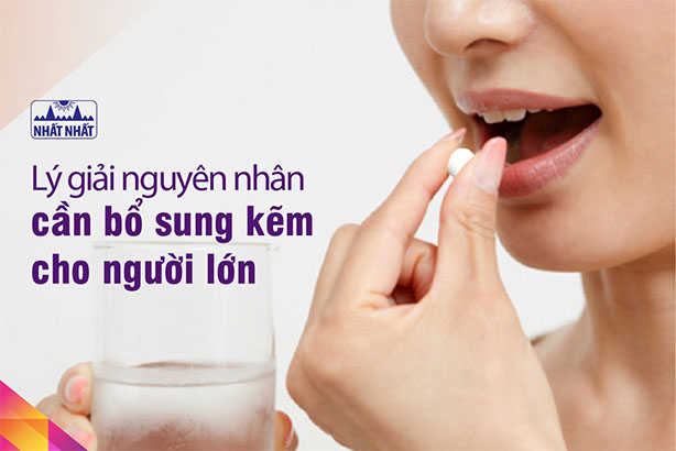 Lý giải nguyên nhân cần bổ sung kẽm cho người lớn