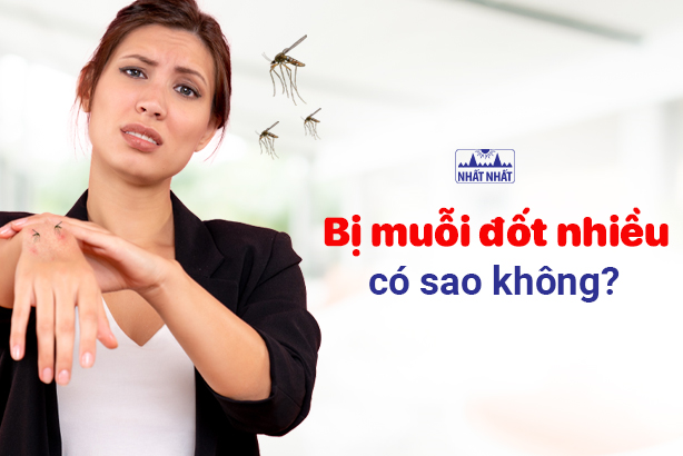 Lời giải cho câu hỏi: Bị muỗi đốt nhiều có sao không? 
