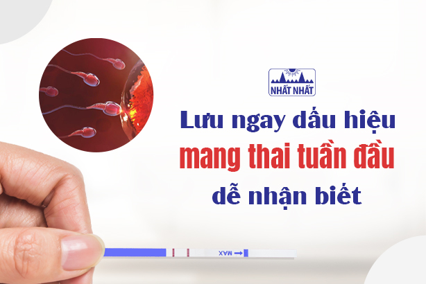 Lưu ngay những dấu hiệu mang thai tuần đầu dễ nhận biết