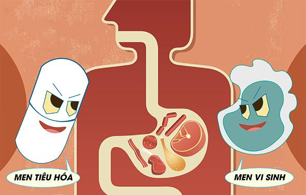 Cách sử dụng men vi sinh và men tiêu hóa đúng nhất, không phải ai cũng biết!
