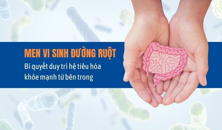 Men vi sinh đường ruột – Bí quyết duy trì hệ tiêu hóa khỏe mạnh