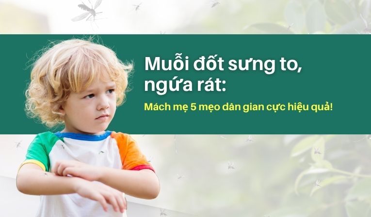 Muỗi đốt sưng to, ngứa rát: Mách mẹ 5 mẹo dân gian cực hiệu quả!