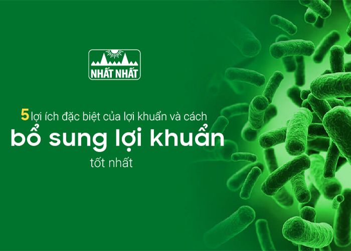 5 lợi ích đặc biệt của lợi khuẩn với sức khỏe và cách bổ sung lợi khuẩn tốt nhất