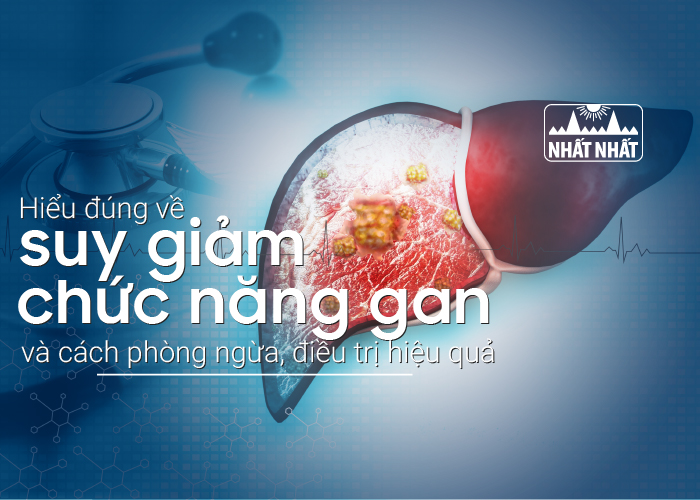 Hiểu đúng về suy giảm chức năng gan và cách phòng ngừa, điều trị hiệu quả
