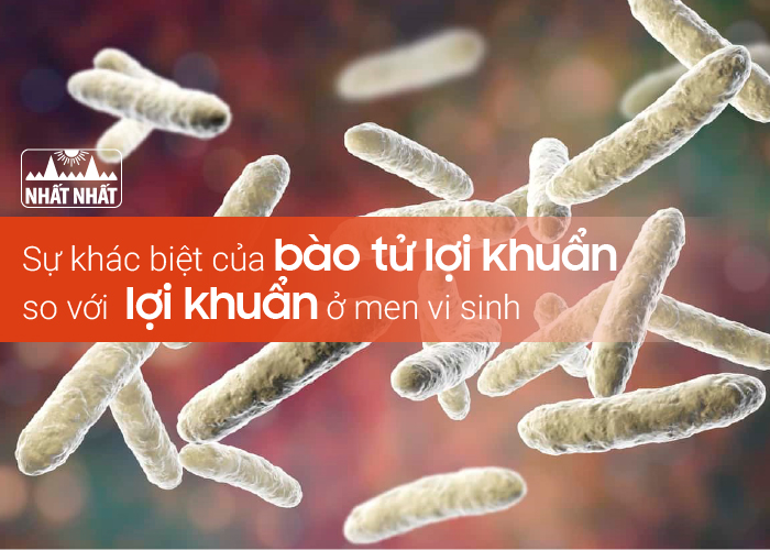 Sự khác biệt của bào tử lợi khuẩn so với lợi khuẩn ở men vi sinh