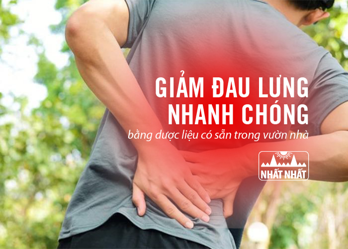 Giảm đau lưng nhanh chóng bằng dược liệu có sẵn trong vườn nhà
