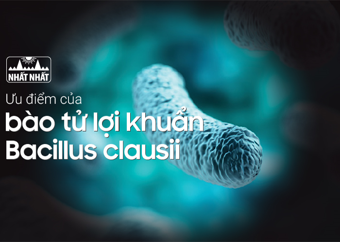 Những ưu điểm của bào tử lợi khuẩn Bacillus clausii trong men vi sinh Bio Vigor