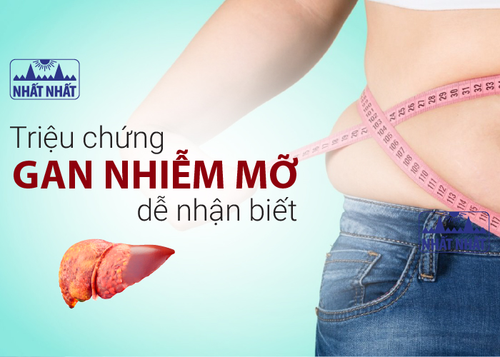 Những triệu chứng gan nhiễm mỡ điển hình, dễ nhận biết 