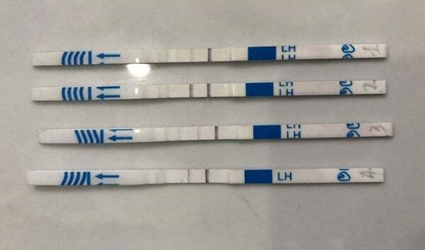 Giải đáp: Que thử rụng trứng lên 2 vạch trong mấy ngày?