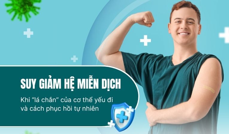 Suy giảm hệ miễn dịch – Khi “lá chắn” của cơ thể yếu đi và cách phục hồi tự nhiên