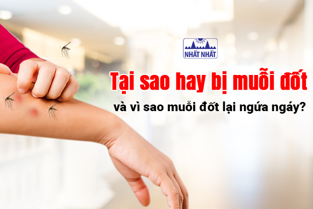 Tại sao hay bị muỗi đốt và vì sao muỗi đốt lại ngứa ngáy?