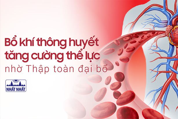 Bổ khí thông huyết tăng cường thể lực nhờ Thập toàn đại bổ
