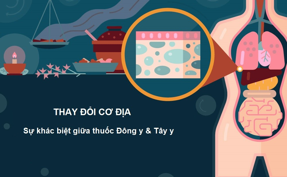 Thay đổi cơ địa – Sự khác biệt giữa thuốc Đông và Tây y