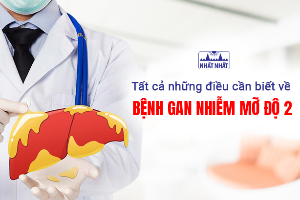Tất cả những điều cần biết về bệnh gan nhiễm mỡ độ 2