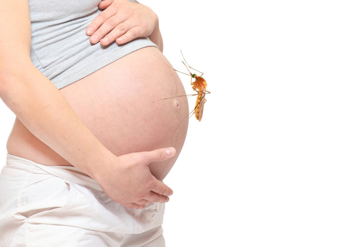 Bà bầu bị muỗi đốt có sao không?