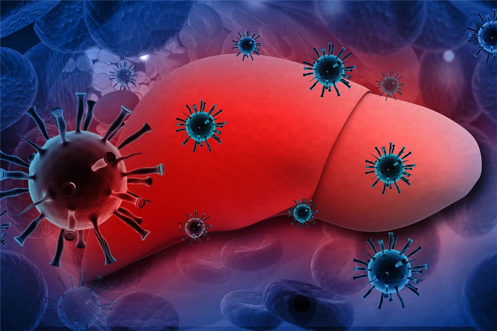 Tìm hiểu về bệnh viêm gan C - kẻ thù tiềm ẩn của gan