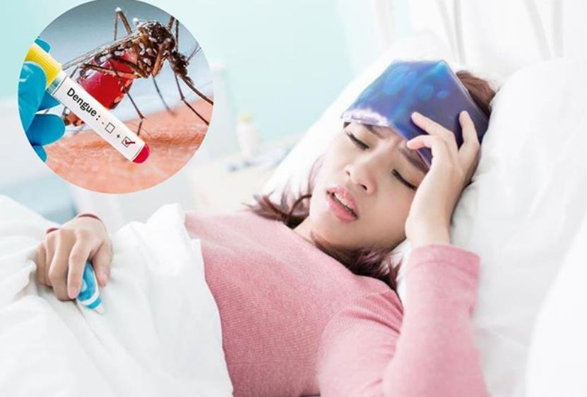 Giải đáp: Sốt xuất huyết làm gì cho nhanh khỏi?