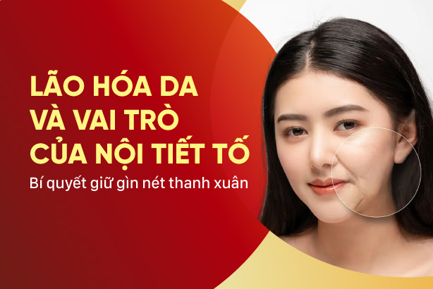 Lão hóa da và vai trò của nội tiết tố: Bí quyết giữ gìn nét thanh xuân