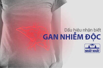 Dấu hiệu nhận biết gan nhiễm độc và biện pháp bảo vệ gan
