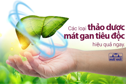 Các loại thảo dược mát gan tiêu độc hiệu quả ngay