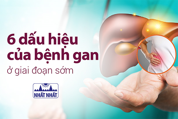 6 dấu hiệu của bệnh gan ở giai đoạn sớm giúp can thiệp kịp thời