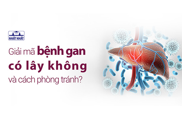Giải mã bệnh gan có lây không và cách phòng tránh