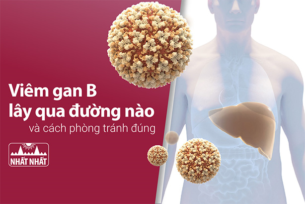 Viêm gan B lây qua đường nào và cách phòng tránh đúng?