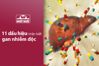 11 dấu hiệu nhận biết gan nhiễm độc để điều trị kịp thời