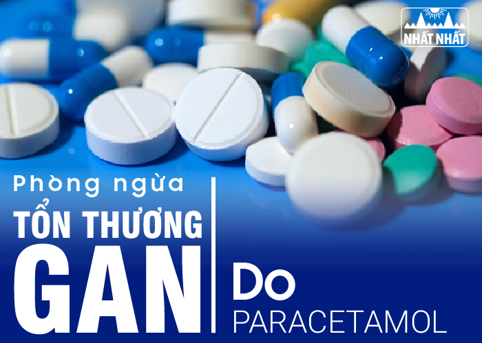 Tìm ra biện pháp phòng ngừa tổn thương gan do Paracetamol