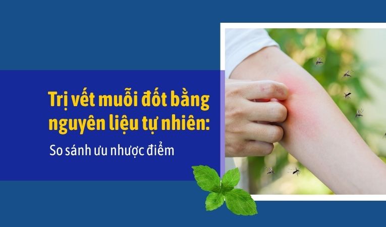 Trị vết muỗi đốt bằng nguyên liệu tự nhiên: So sánh ưu nhược điểm