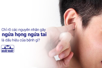 Chỉ rõ các nguyên nhân gây ngứa họng ngứa tai và cách điều trị