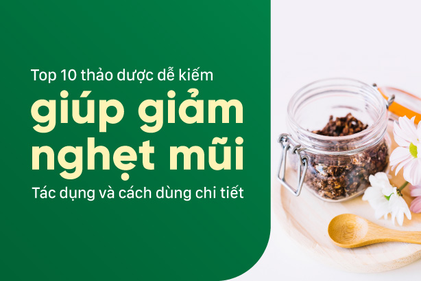Top 10 thảo dược dễ kiếm giúp giảm nghẹt mũi - Tác dụng và cách dùng