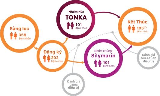Nghiên cứu lâm sàng tác dụng hạ men gan của Tonka so với Silymarin