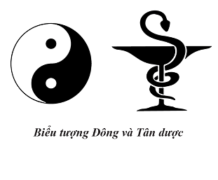 KHÁC BIỆT GIỮA THUỐC ĐÔNG Y BÍ TRUYỀN VÀ THUỐC TÂY